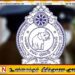 பொலிஸ் உத்தியோகத்தர்களின் நிலுவைப் பதவியுயர்வுகள் விரைவில் வழங்கப்படும்!