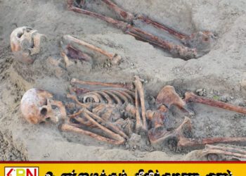 செம்மணி மனிதப் புதைகுழி; இதுவரை 256 மனித எலும்புக்கூட்டுத் தொகுதிகள் மீட்பு