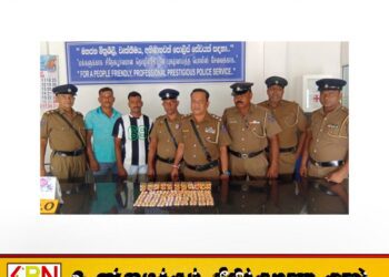 கொழும்பிலிருந்து யாழுக்கு வந்த பொதியில் போதை மாத்திரை