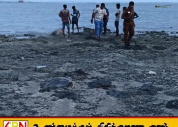புங்குடுதீவு கடலில் கரையொதுங்கியுள்ள சடலம்