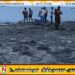 புங்குடுதீவு கடலில் கரையொதுங்கியுள்ள சடலம்