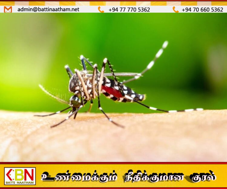 டெங்கு தொற்று தீவிரம்; 28,000ஐ கடந்த நோயாளர்கள் – 15 உயிரிழப்புகள் பதிவு!
