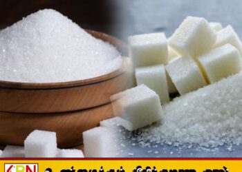 இலங்கையில் சீனி விலை அதிகரிப்பு; டொலர் உயர்வே காரணம்!