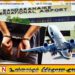 பொரளை இரட்டைக் கொலை வழக்கு; பிரதான சந்தேகநபர் கட்டுநாயக்கவில் கைது!