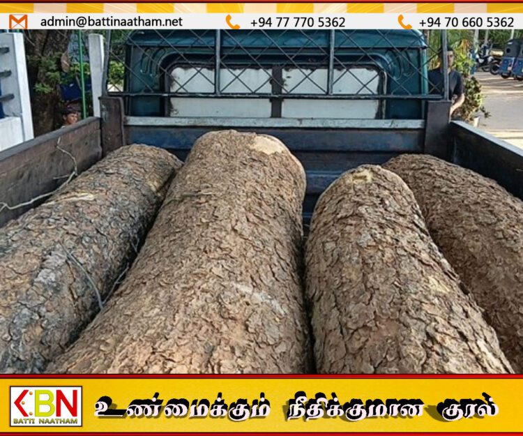 கிளிநொச்சியில் பெறுமதி மிக்க மரக் குற்றிகளுடன் ஒருவர் கைது!