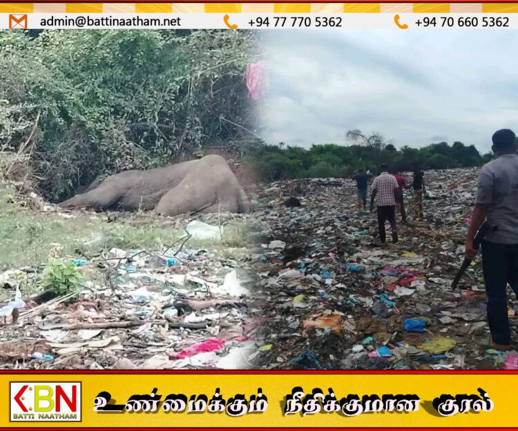 வாழைச்சேனை சூடுபத்தினசேனையில் குப்பை கொட்டும் இடத்தில் யானை ஒன்று உயிரிழந்த நிலையில் மீட்பு!