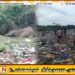 வாழைச்சேனை சூடுபத்தினசேனையில் குப்பை கொட்டும் இடத்தில் யானை ஒன்று உயிரிழந்த நிலையில் மீட்பு!
