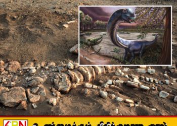 தாய்லாந்தில் 120 மில்லியன் ஆண்டுகள் பழமையான புதிய இராட்சத டைனோசர் இனம் கண்டுபிடிப்பு!