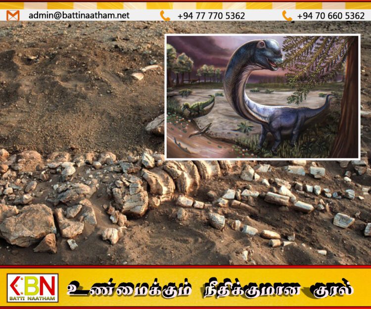 தாய்லாந்தில் 120 மில்லியன் ஆண்டுகள் பழமையான புதிய இராட்சத டைனோசர் இனம் கண்டுபிடிப்பு!