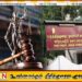 இடைக்காலத் தடையுத்தரவைப் பெற நீதிமன்றத்தைப் பிழையாக வழிநடத்திய மனுதாரர்கள்; பருத்தித்துறை நகரசபை வழக்குகள் தள்ளுபடி!