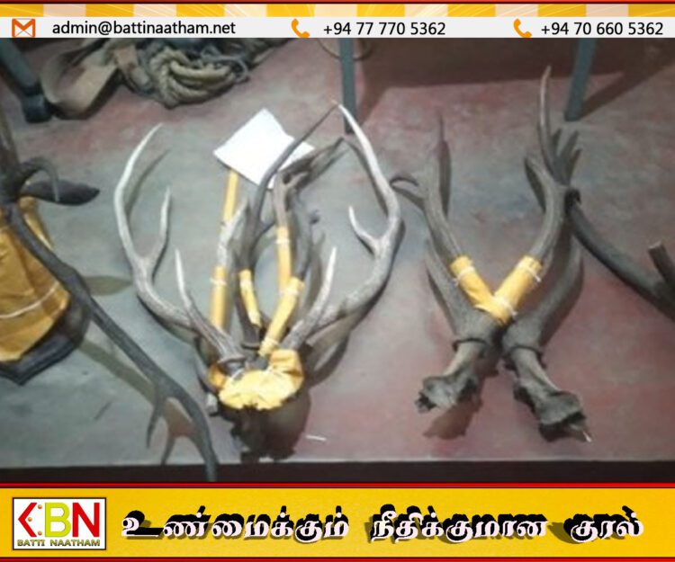 வனவிலங்கு கொம்புகளை விற்பனை செய்ய முயற்சி; விமானப்படை மற்றும் வனவிலங்கு பிரிவினர் அதிரடி!