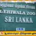 தெஹிவளை மிருகக் காட்சிசாலையில் பிறந்த சிங்கக் குட்டிகள்; பெயர் சூட்ட சிறுவர்களுக்கு வாய்ப்பு!