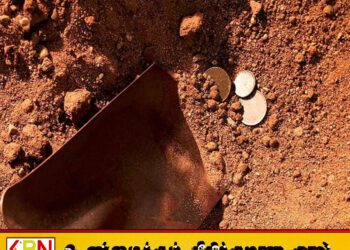 நள்ளிரவில் புதையல் தோண்டிய கும்பல்; 7 பேர் அதிரடியாகக் கைது!