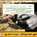 சாரதி தண்ட பத்திரத்தை 8 முறை போலியாக நீடித்து வைத்திருந்தவர் காத்தான்குடியில் கைது