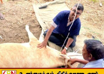 கடும் வெயிலால் கால் நடைகளுக்கு பாதிப்பு