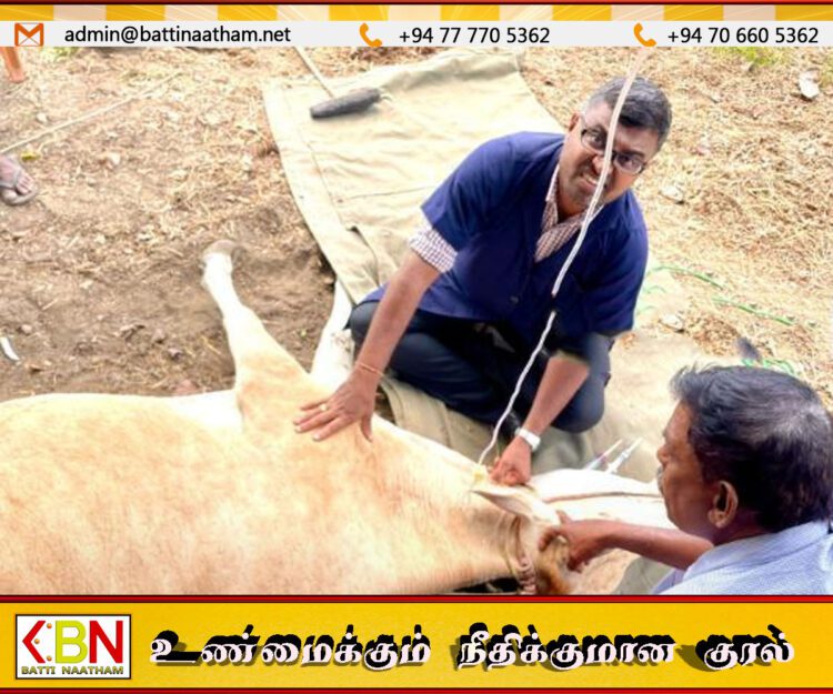 கடும் வெயிலால் கால் நடைகளுக்கு பாதிப்பு