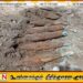 கஞ்சிகுடியாறு பகுதியில் ஐந்து மோட்டார் குண்டுகள் மீட்பு