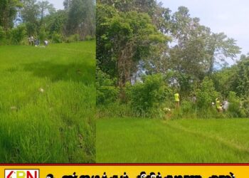 வெல்லாவெளி பொலிஸ் பிரிவில் வயலுக்குள் சடலம்; சந்தேகத்தில் மூவர் கைது