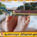 திருகோணமலையில் பிரசவத்தின் போது சிசு மரணம்; வைத்தியர் உட்பட இருவர் பணி இடைநீக்கம்