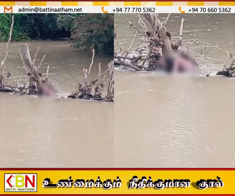 வாழைச்சேனை வயலுக்கு சென்ற விவசாயி கால்வாயில் சடலமாக மீட்பு