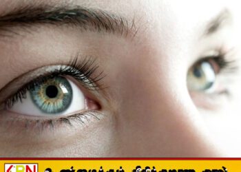 84% மக்கள் கண்தானத்திற்கு விருப்பம்; சுகாதார அமைச்சு