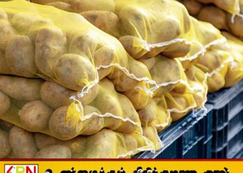 உருளைக்கிழங்கு இறக்குமதியை கட்டுப்படுத்துமாறு மலையக உருளைக்கிழங்கு உற்பத்தியாளர்கள் கோரிக்கை