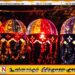 வெசாக் காலத்தில் பொலித்தீன் மற்றும் பிளாஸ்டிக் பொருட்களுக்கு தடை