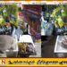 பொதுச் சுகாதாரப் பரிசோதகர்கள் போல் பயம்காட்டி பணம் பறித்த குழு