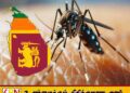 டெங்கு பாதிப்பு தீவிரம்; உயிரிழப்பு எண்ணிக்கை 31 ஆக உயர்வு!