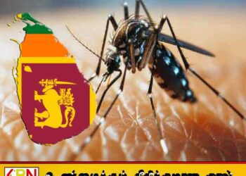 டெங்கு பாதிப்பு தீவிரம்; உயிரிழப்பு எண்ணிக்கை 31 ஆக உயர்வு!