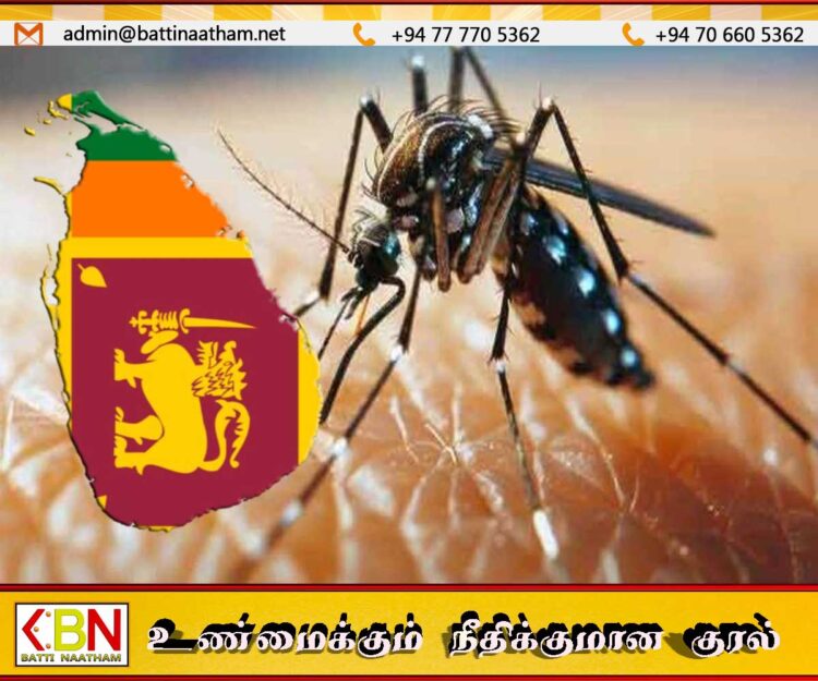டெங்கு பாதிப்பு தீவிரம்; உயிரிழப்பு எண்ணிக்கை 31 ஆக உயர்வு!