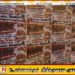 வடக்கு மாகாண பொதுச்சேவை ஆணைக்குழுவிற்கு எதிராக யாழில் ஒட்டப்பட்டுள்ள சுவரொட்டிகள்