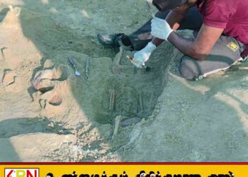 செம்மணி மனிதப் புதைகுழி அகழ்வுப் பணி 14ஆவது நாளை எட்டியது; 270 எலும்புக் கூடுகள் அடையாளம்!