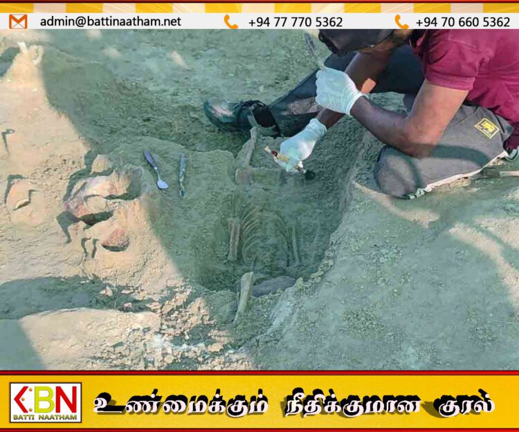 செம்மணி மனிதப் புதைகுழி அகழ்வுப் பணி 14ஆவது நாளை எட்டியது; 270 எலும்புக் கூடுகள் அடையாளம்!
