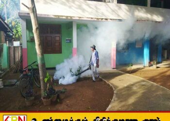 நுளம்பு புகை விசிறலால் சுற்றுச்சூழலுக்கு பாதிப்பு; சுகாதார பூச்சியியல் அதிகாரிகள் சங்கம்