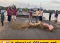 கடந்த ஆட்சிக்காலத்தில் புனரமைக்கப்பட்ட மட்டு நகர் புதுப்பாலம் உடைந்துவீழ்ந்தது