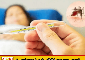டெங்குவுடன் சிக்குன்குனியாவும் பரவல்; சுகாதாரத் துறையின் அவசர எச்சரிக்கை!