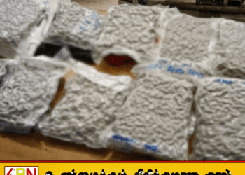 கட்டுநாயக்கவில் 7.5 கோடி பெறுமதியான “குஷ்” போதைப்பொருளுடன் ஒருவர் கைது!