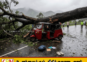 நாவலப்பிட்டிய சோக சம்பவம்; மரம் முறிந்து விழுந்ததில் மாணவன் உள்ளிட்ட மூவர் உயிரிழப்பு