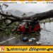 நாவலப்பிட்டிய சோக சம்பவம்; மரம் முறிந்து விழுந்ததில் மாணவன் உள்ளிட்ட மூவர் உயிரிழப்பு