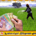 நெல் விவசாயிகளுக்கான உர மானியம் ரூ.5,000 அதிகரிப்பு!