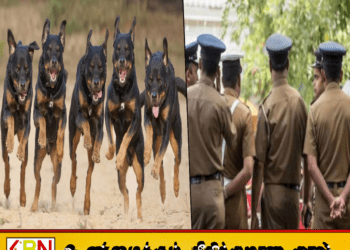சட்டவிரோத மதுபான விற்பனையை தடுக்க சென்ற பொலிஸார் மீது 8 நாய்களை ஏவிய பெண்!