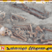 செம்மணி மனிதப் புதைகுழி; 380 எலும்பு எச்சங்களுடன் இலங்கையின் மிகப்பெரிய புதைகுழியாக பதிவு!