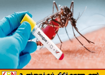 நாட்டில் தீவிரமடைந்து வரும் டெங்கு பரவல்; சுகாதார அமைப்பு எச்சரிக்கை!
