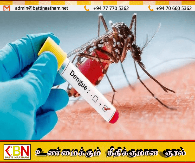 நாட்டில் தீவிரமடைந்து வரும் டெங்கு பரவல்; சுகாதார அமைப்பு எச்சரிக்கை!