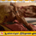 முதியோர் பராமரிப்பு நிலையங்களுக்கு புதிய விதிமுறைகள் அறிமுகம்!