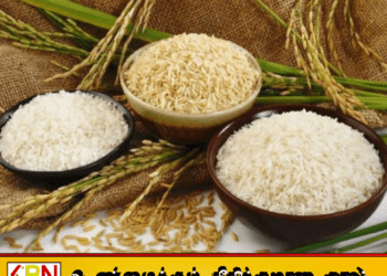2025 இல் இலங்கையில் அரிசி இறக்குமதி 40% அதிகரிப்பு; அரச அறிக்கையில் முக்கிய தகவல்கள்!