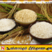 2025 இல் இலங்கையில் அரிசி இறக்குமதி 40% அதிகரிப்பு; அரச அறிக்கையில் முக்கிய தகவல்கள்!