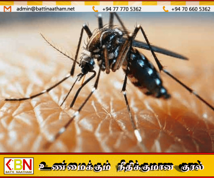 நாட்டில் டெங்கு மரணங்களின் எண்ணிக்கை அதிகரிப்பு!