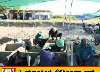 செம்மணியில் 3 சிறுவர்கள் உட்பட மேலும் 11 எலும்புக்கூடுகள் அகழ்ந்தெடுப்பு!